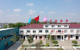 氟橡胶条选型解析：扬中橡塑分段硫化技术