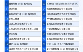 端点科技入选IDC《中国数智化50+供应商推荐（2025版）》名单！